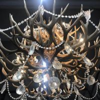 В нашем салоне появилась шикарная люстра из рогов оленей за 25 000 из Приезжайте посмотреть и на чашечку ️