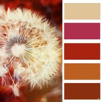 ️Преимущества краски #littlegreene ️
