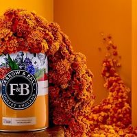 В нашем шоу руме можно приобрести английскую краску Farrow&Ball.