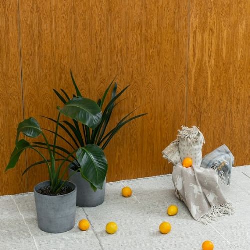 Ковер Rugs Japandi D100015