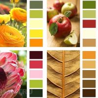 Дорогие друзья, а Вы знали, что цвет стен, как и любой цвет в интерьере влияет на самочувствие и настроение человека️ ️оттенки кра...