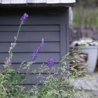 Краска Little Grenee для фасада