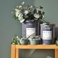 В нашем шоу руме появился новый бренд красок Mons.