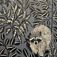 Эти милые еноты вызовут у всех умиление и радость ️
