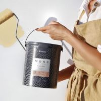 Интерьерные краски MONS Россия