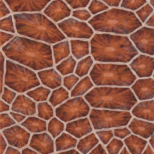 Панно De Gournay, коллекция Eclectic, артикул 0512-15